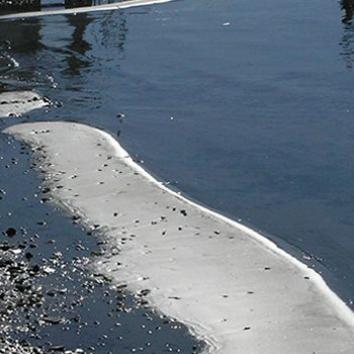 Blue flag beaches. Where the water quality is excellent