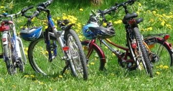 Copertina bici e fragole