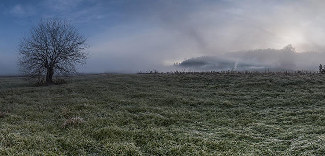 Campi ondulati. Abbiamo anche questo bel mosaico di terreni agricoli