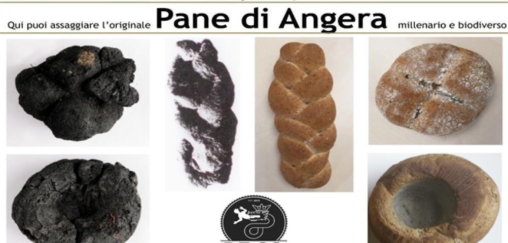  The Bread of Angera