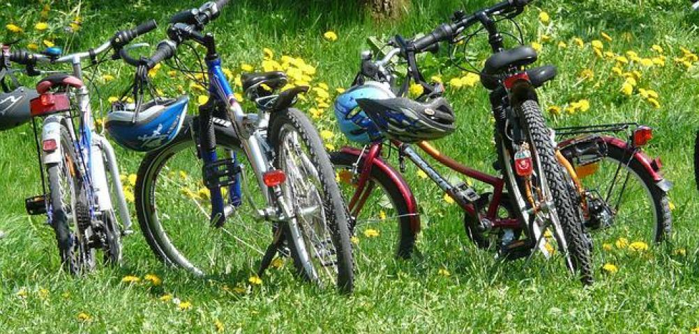 Copertina bici e fragole