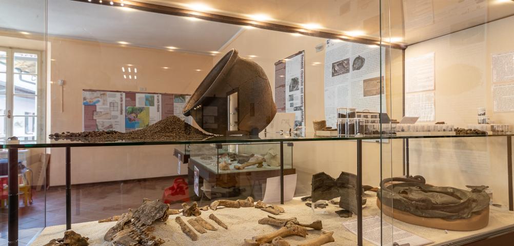 E...state al Museo