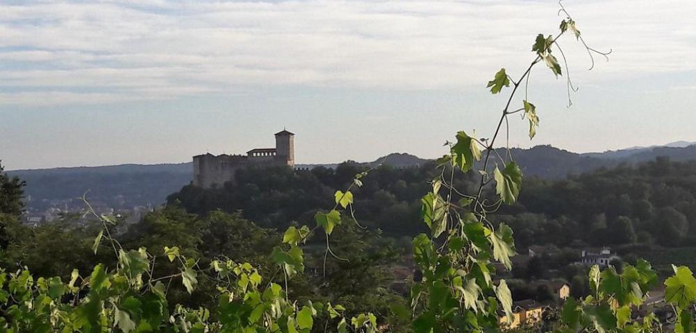 Settembre Angerese