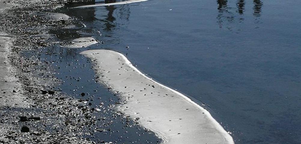 Blue flag beaches. Where the water quality is excellent